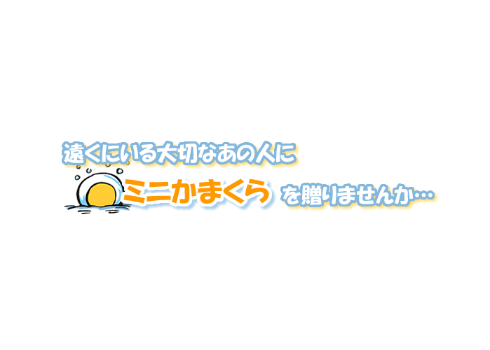 ミニかまくら 贈りませんか 12月14日 予約受付開始 一般社団法人 横手市観光協会